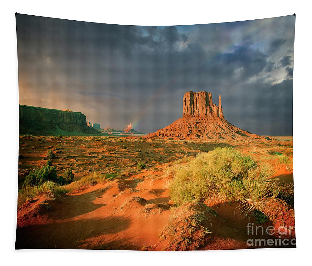 Nag000555c Tapestry featuring the photograph Monument Valley View by Edmund Nagele FRPS