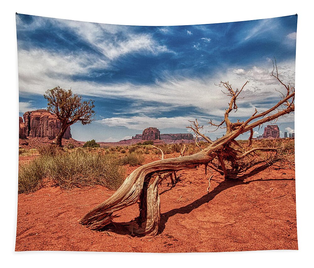 Plant Tapestry featuring the photograph Monument Valley 02 by Micah Offman