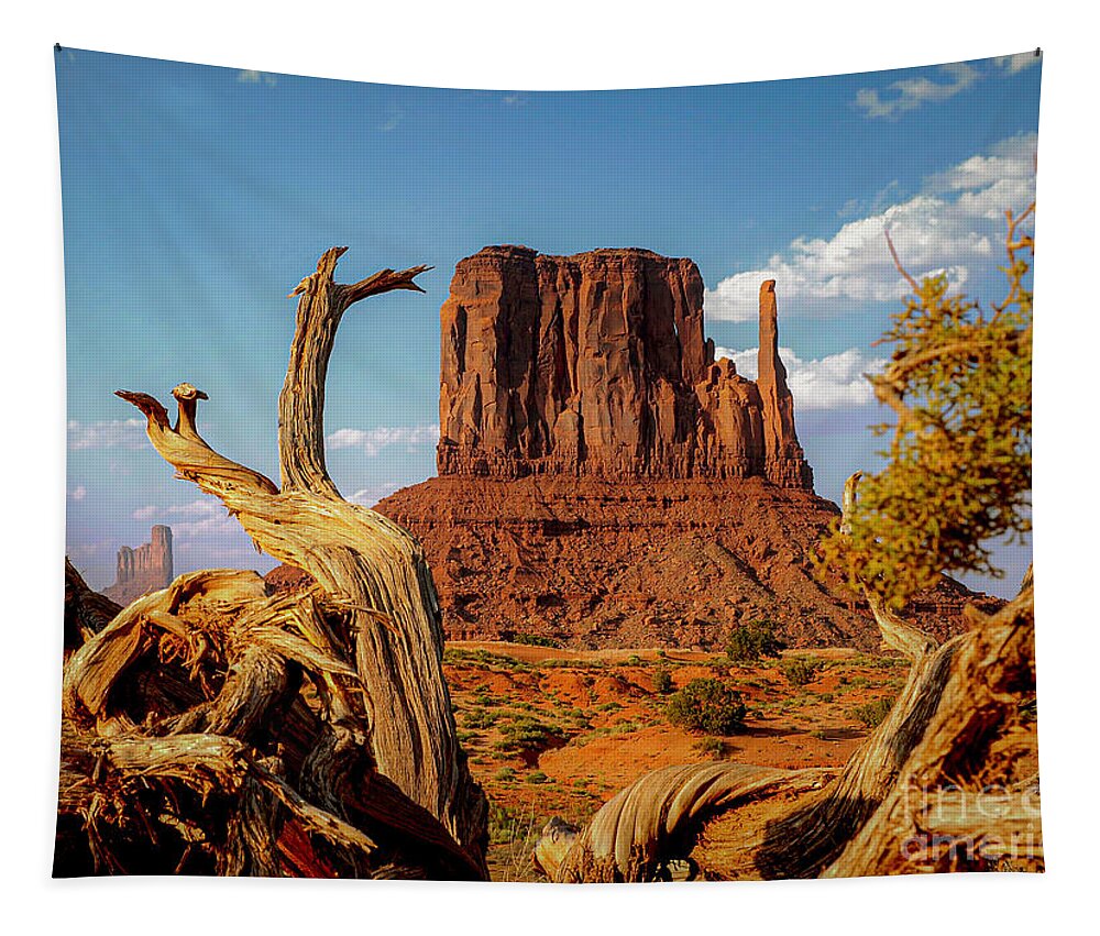 Monument Valley Tapestry featuring the photograph Monument Valley Arizona Desert Mitten by Sea Change Vibes