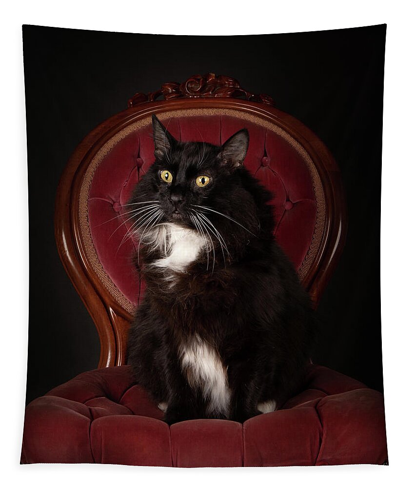 Cat Tapestry featuring the photograph Mooch on chair by Rebecca Cozart