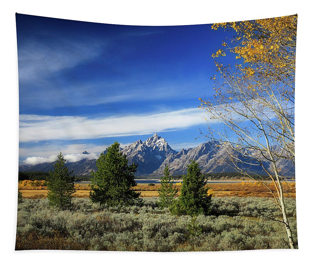 Beautiful Autumn Landscape In Grand Teton National Park Tapestry featuring the photograph Moody Autumn Morning In Grand Teton National Park by Dan Sproul