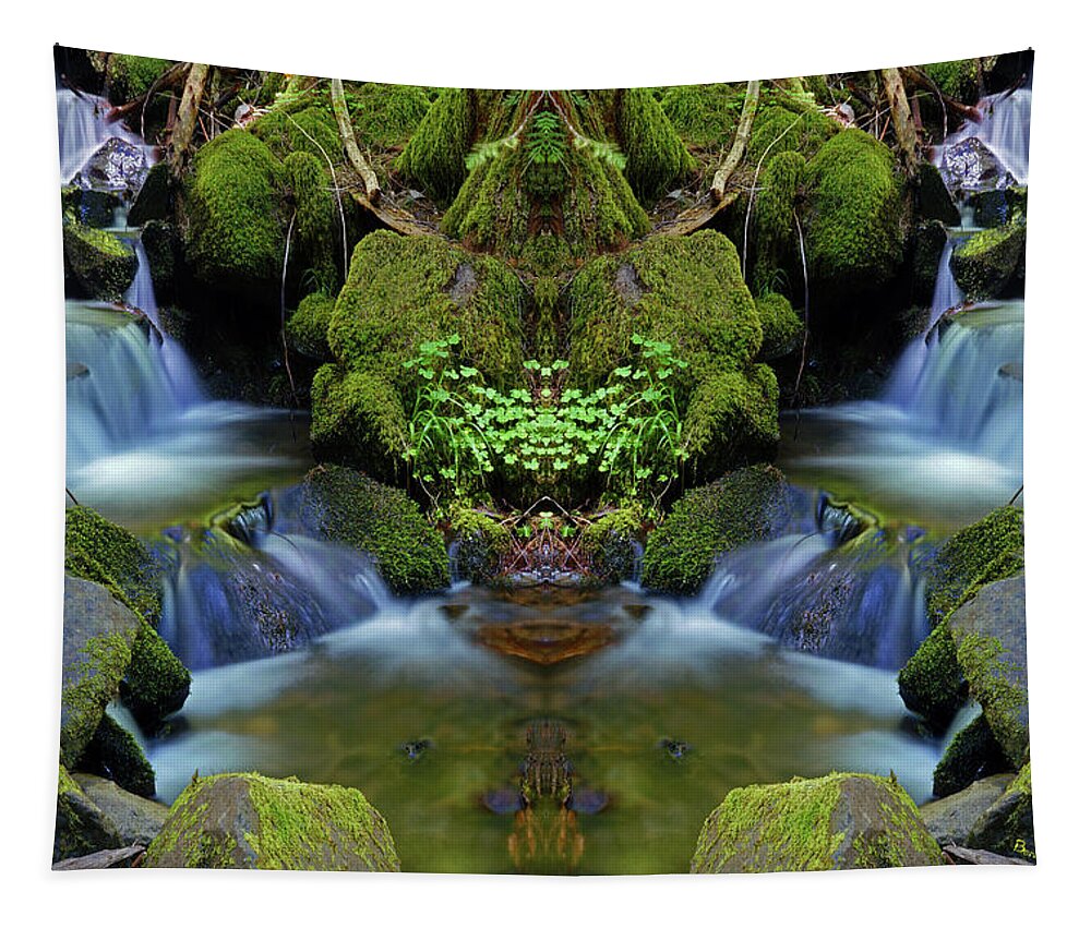 Nature Tapestry featuring the photograph Moon Falls Mirror #1 by Ben Upham III