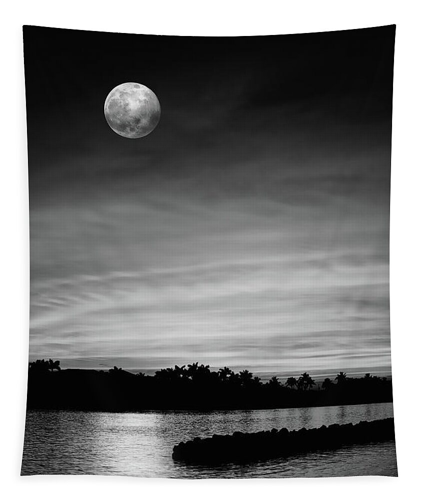 Full Moon Tapestry featuring the photograph Moon River by Laura Fasulo