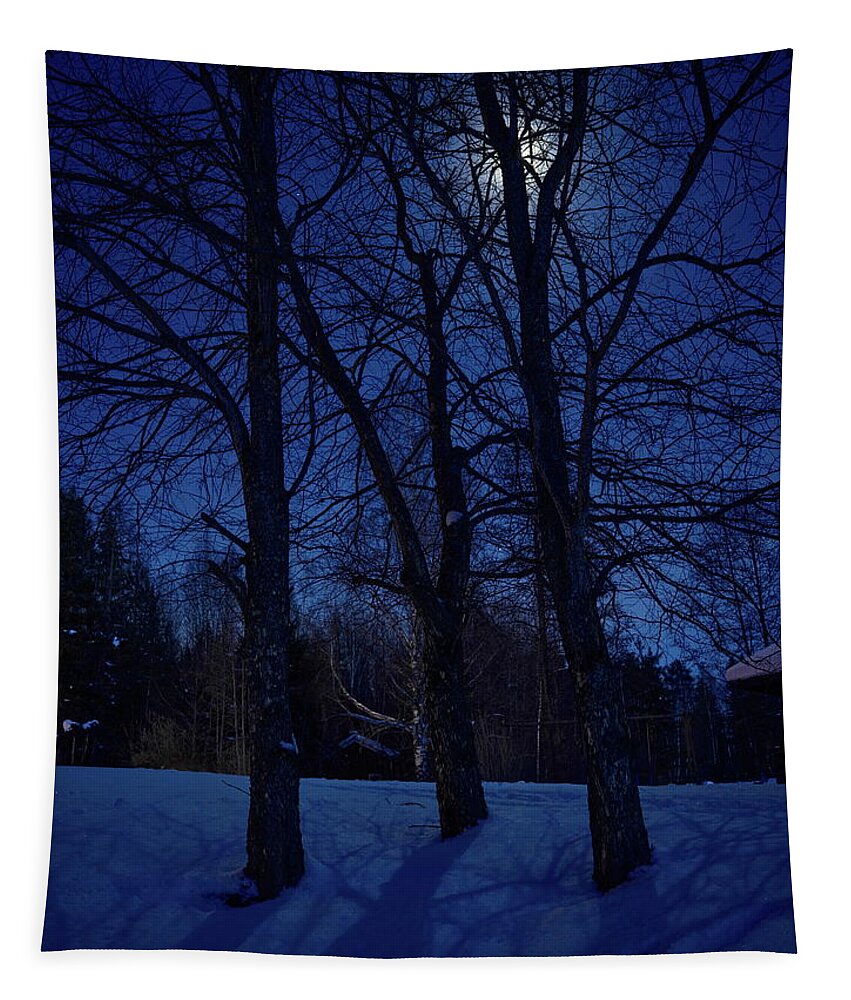 Finland Tapestry featuring the photograph Moonlight shadows by Jouko Lehto