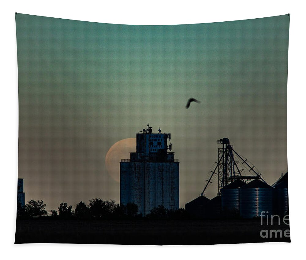 Moonrise Birds Grain Elevator Bennett Colorado Tapestry featuring the photograph Moonrise and Birds at the Bennett Grain Elevator by JD Smith