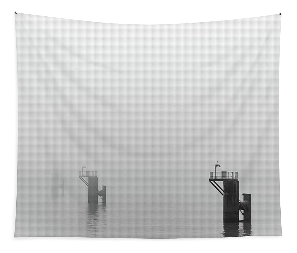 Mooring Tapestry featuring the photograph Mooring Dolphins in the Fog by Gavin Lewis