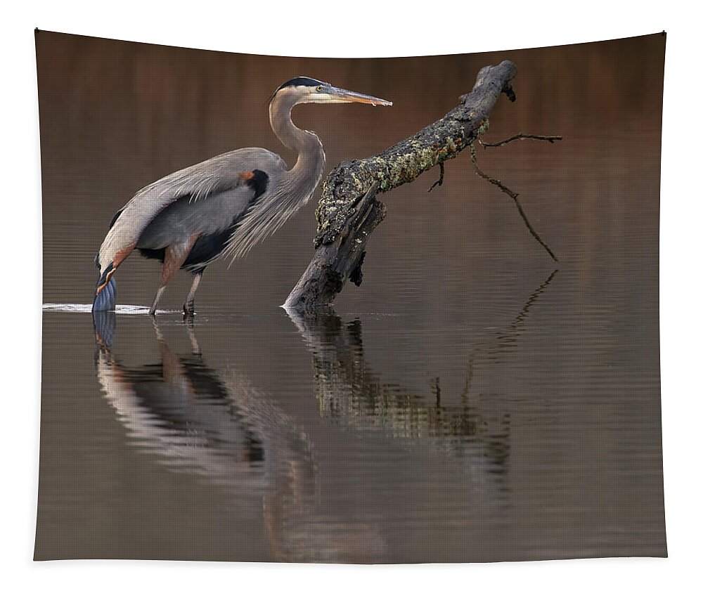 Bird Tapestry featuring the photograph Morning Dip by Art Cole