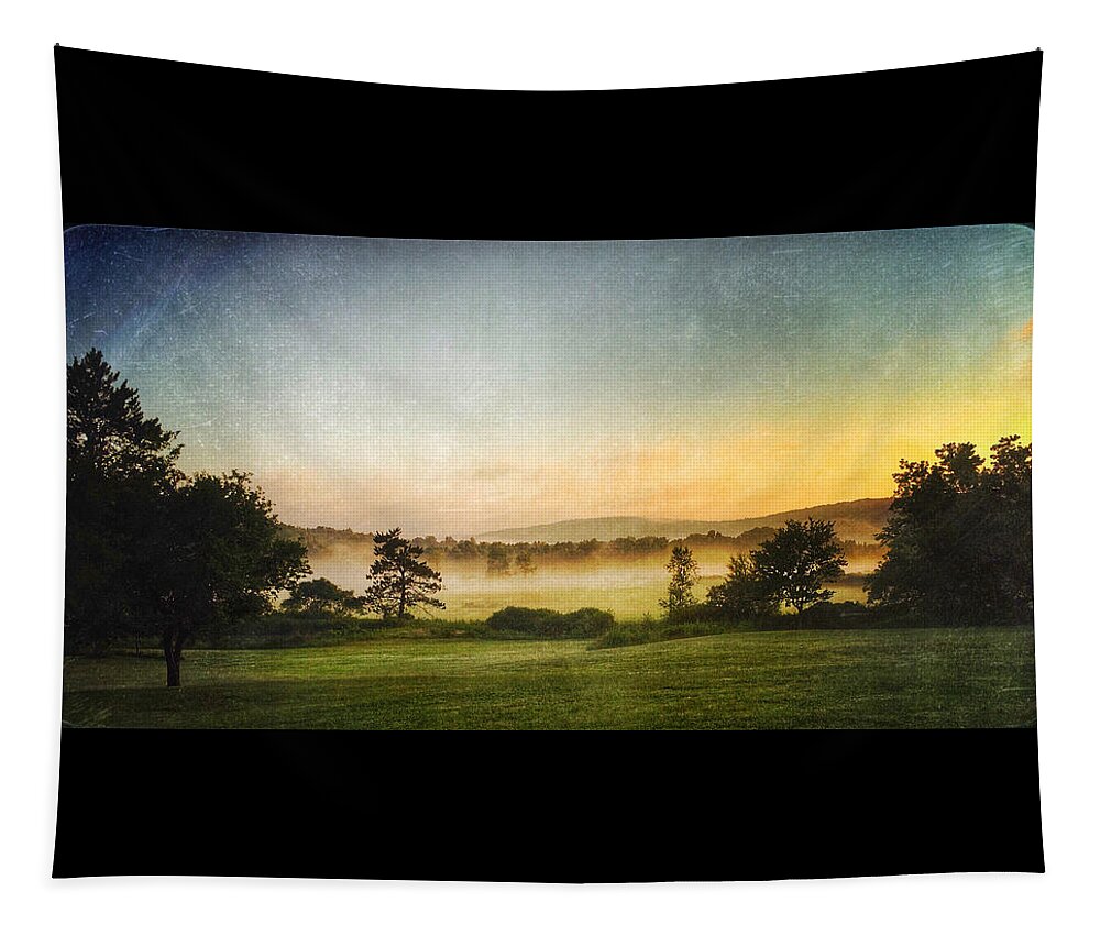 Fog Tapestry featuring the photograph Morning Dog Walk 3 by Robert Dann