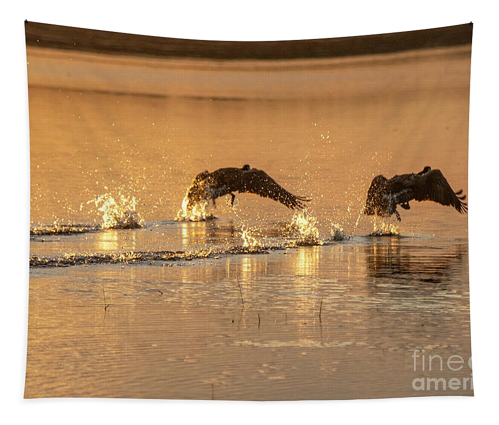 Natanson Tapestry featuring the photograph Morning Flight of the Geese by Steven Natanson