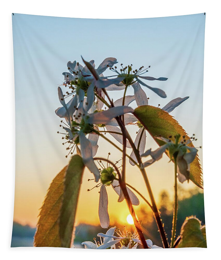 Cuyuna Tapestry featuring the photograph Morning Flowers by Flowstate Photography
