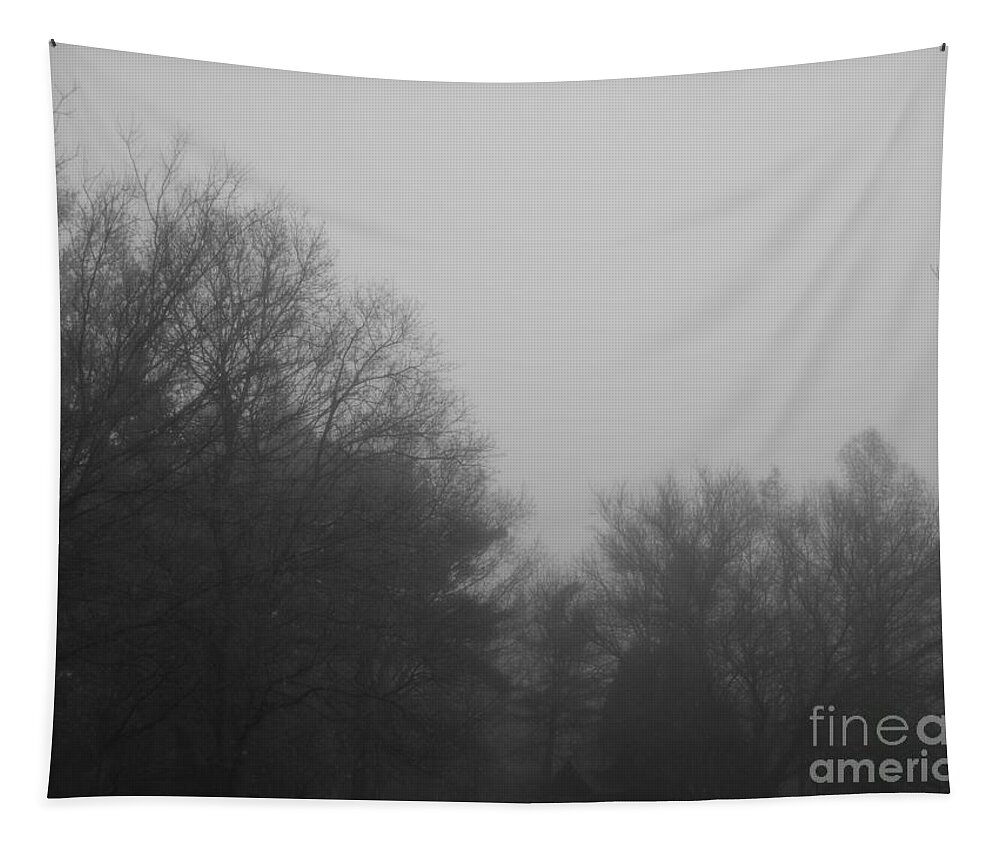Nataure Tapestry featuring the photograph Morning Fog at the Cabin by Frank J Casella