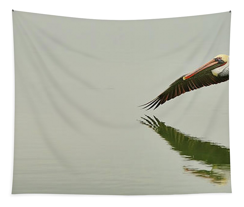 Pelican Tapestry featuring the photograph Morning Glide by Brad Barton