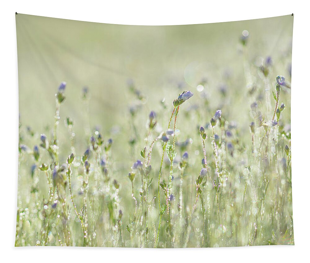 Flowers Tapestry featuring the photograph Morning Meadow Dancers by Alexander Kunz