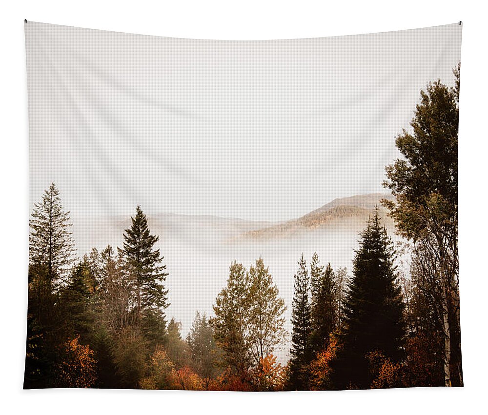 Canada Tapestry featuring the photograph Morning Mist by Carmen Kern