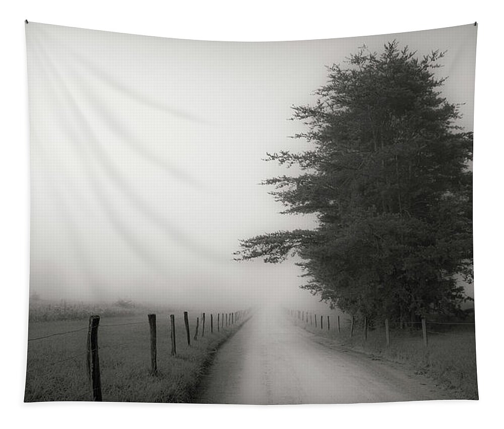 Landscapes Tapestry featuring the photograph Morning on a Country Road by David Hilton