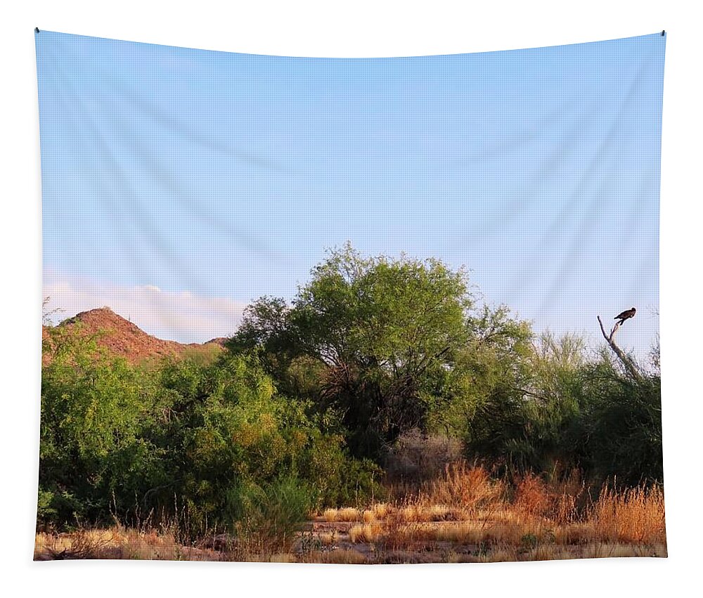 Arizona Tapestry featuring the photograph Morning Watch on the Vekol by Judy Kennedy