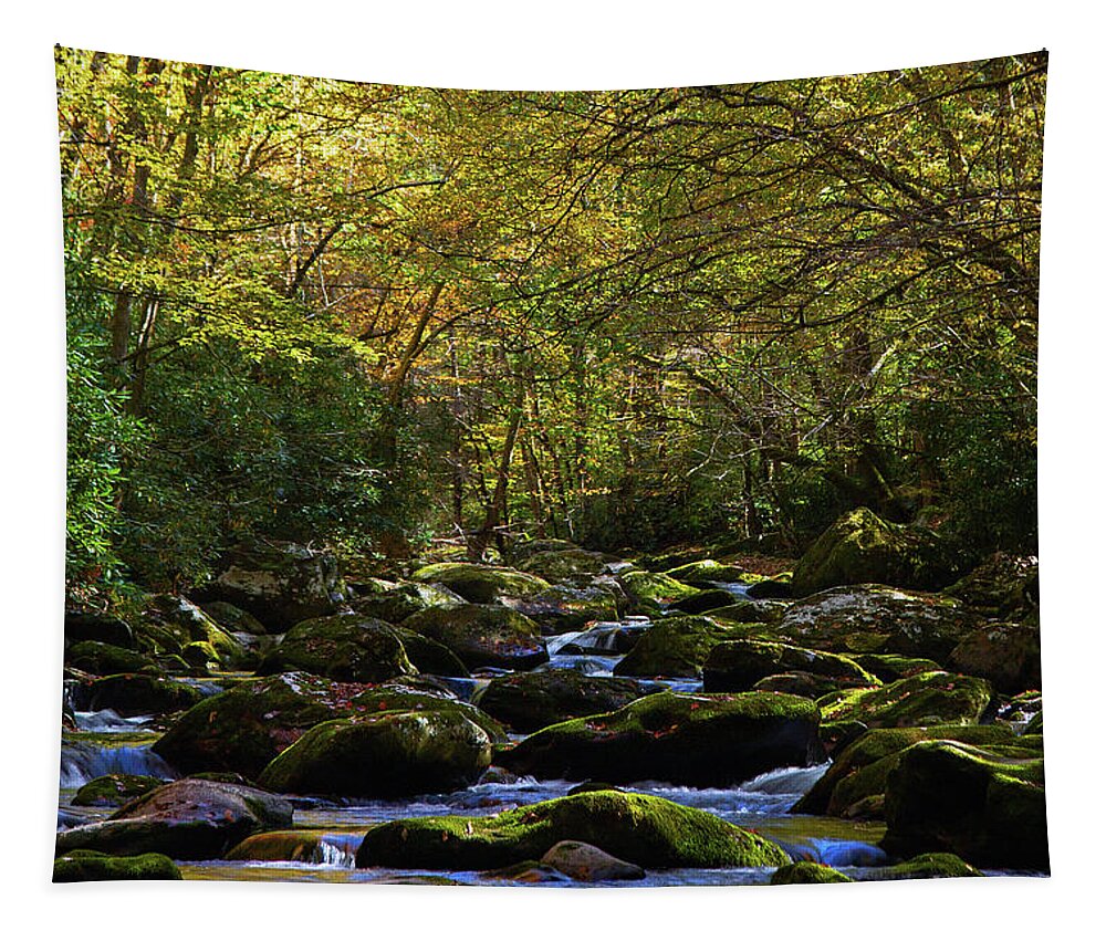 Travel Tapestry featuring the photograph Moss and Water by Gina Fitzhugh