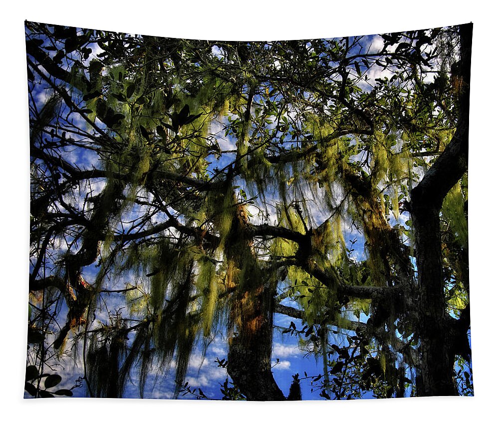 Trees Tapestry featuring the photograph Moss in the Trees by George Taylor