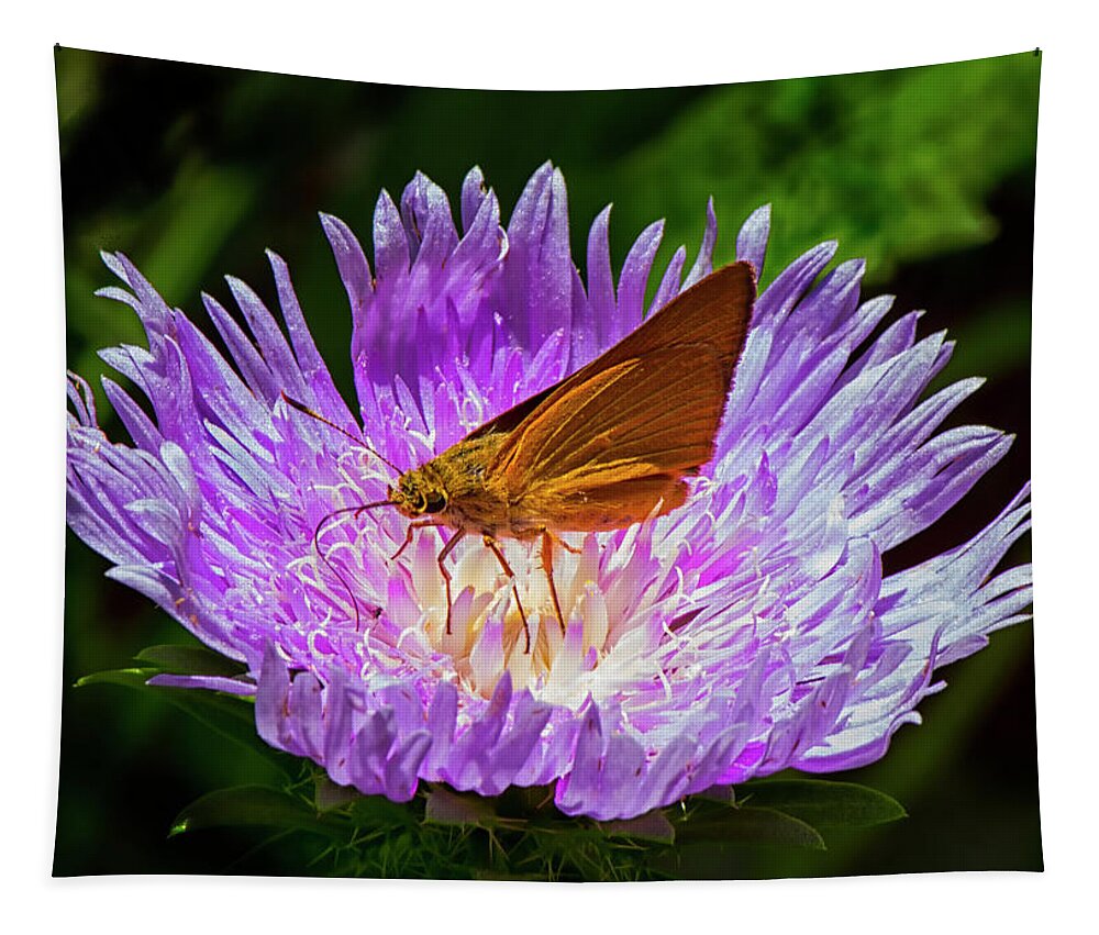 Blooming Tapestry featuring the photograph Moth on flower center by Charles Floyd