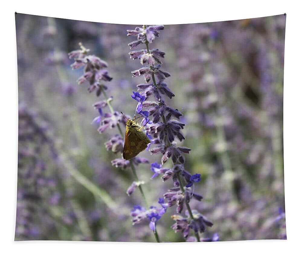 Moth Tapestry featuring the photograph Moth on lavender by Jean Evans
