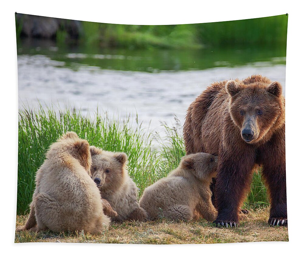 Alaska Tapestry featuring the photograph Mother Bear and Her three cubs by Alex Mironyuk