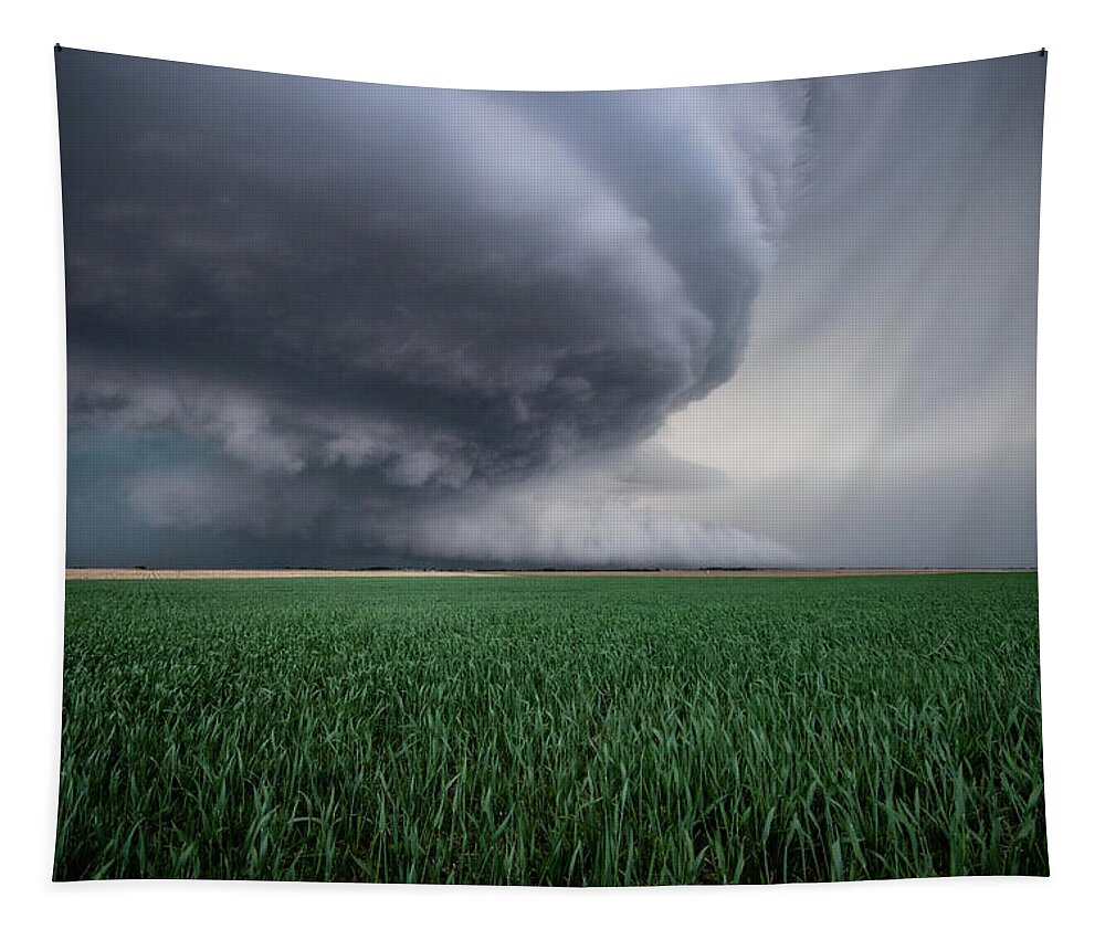 Mesocyclone Tapestry featuring the photograph Mothership Storm by Wesley Aston