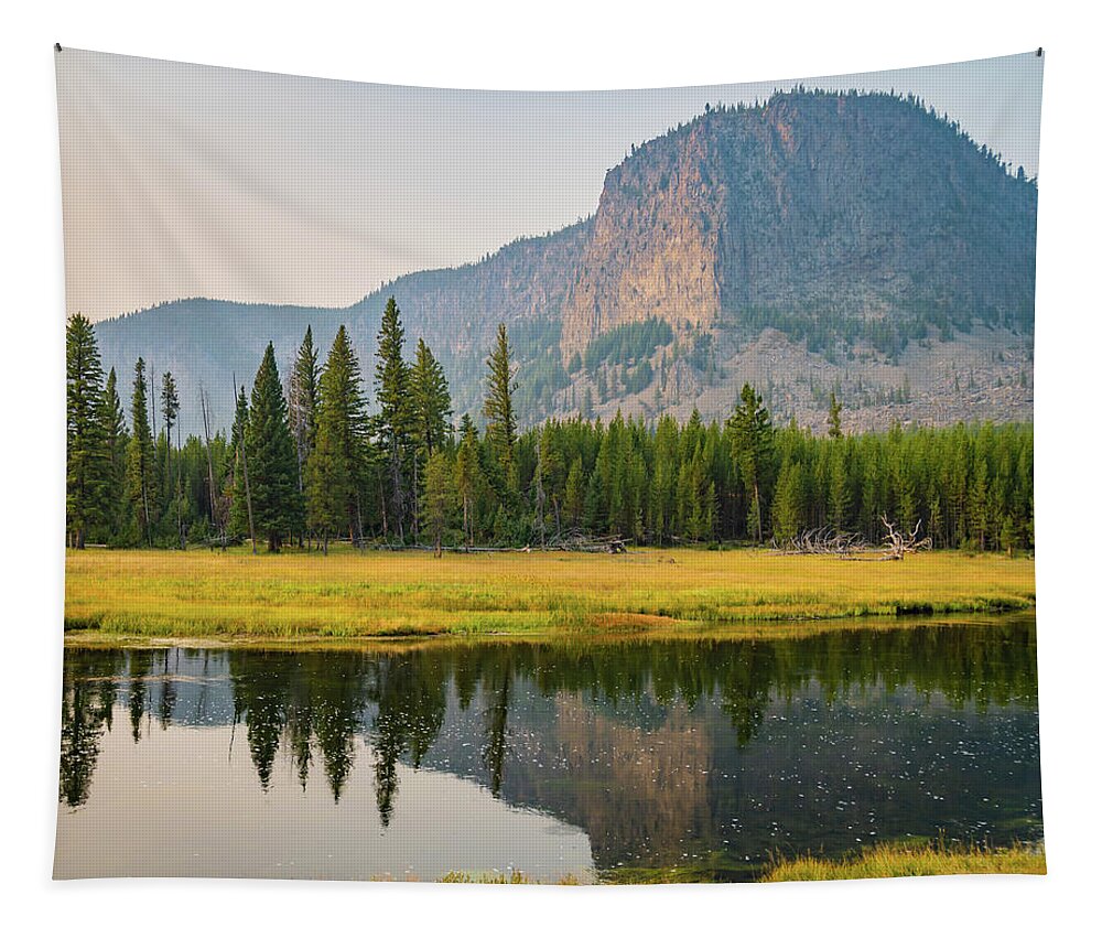 Mount Haynes Tapestry featuring the photograph Mount Haynes, Yellowstone National Park by Ann Moore