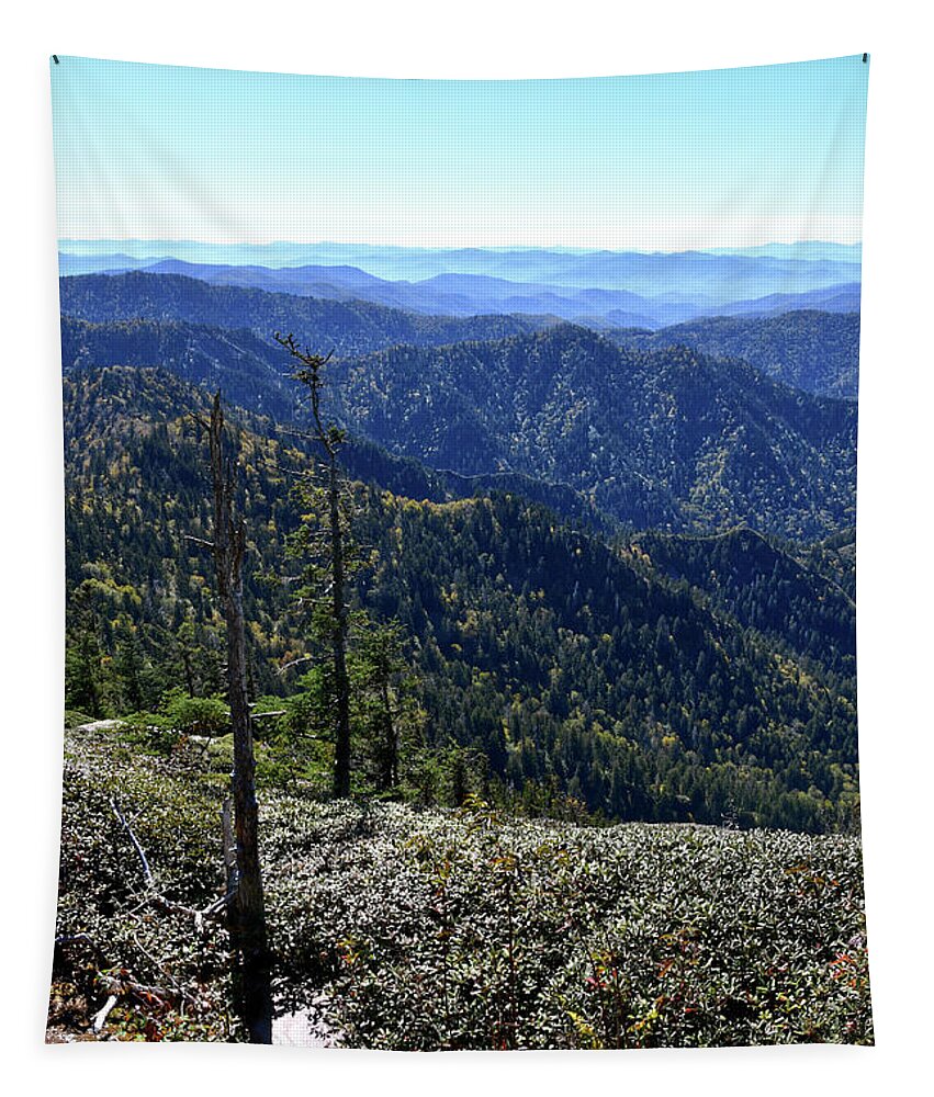 Mount Leconte Tapestry featuring the photograph Mount LeConte 11 by Phil Perkins