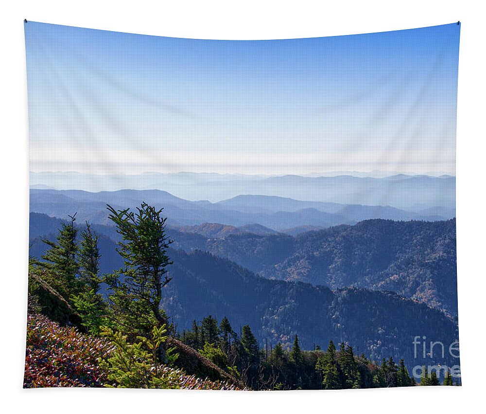 Smoky Mountains Tapestry featuring the photograph Mount LeConte 33 by Phil Perkins