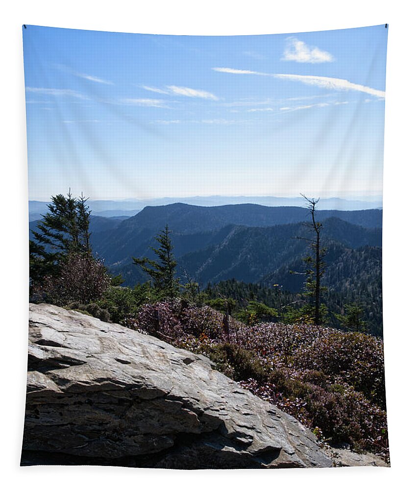 Smoky Mountains Tapestry featuring the photograph Mount LeConte 37 by Phil Perkins