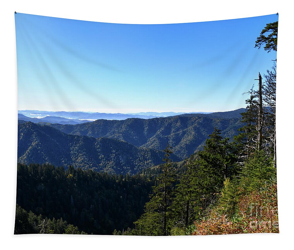 Mount Leconte Tapestry featuring the photograph Mount LeConte 7 by Phil Perkins