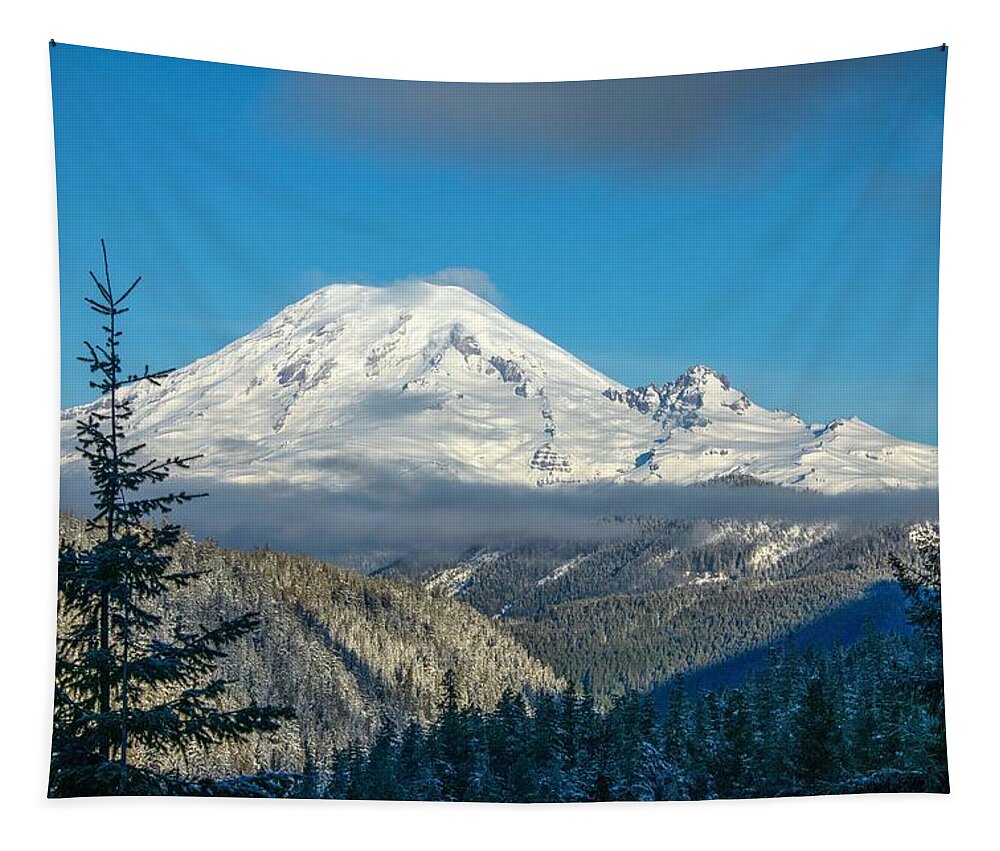 Mount Rainier Appearance Tapestry featuring the photograph Mount Rainier appearance by Lynn Hopwood