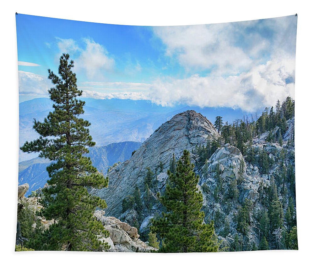 Palm Springs Aerial Tramway Tapestry featuring the photograph Mount San Jacinto State Park by Kyle Hanson