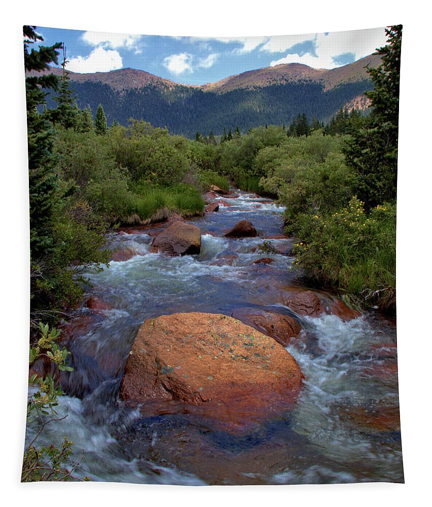 Mountains Tapestry featuring the photograph Mountain Creek by Bob Falcone