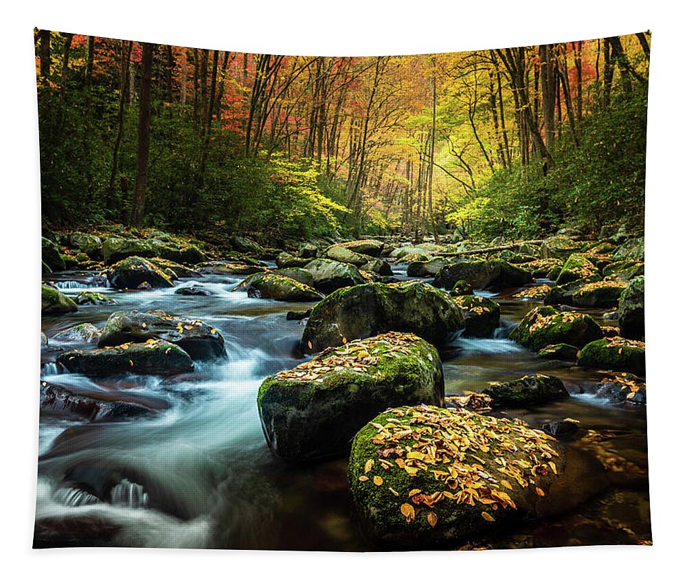 Big Creek Tapestry featuring the photograph Mountain Streams by Darrell DeRosia
