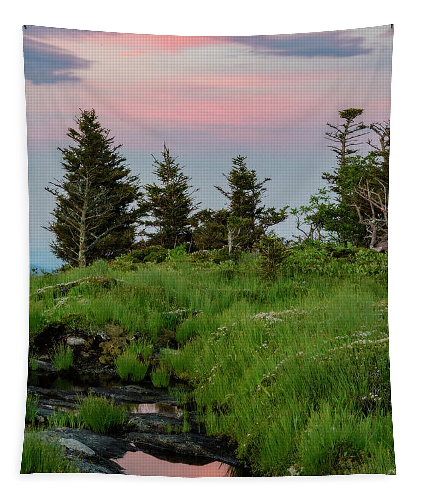 Blue Ridge Mountains Tapestry featuring the photograph Mountain Top Sunrise by Melissa Southern