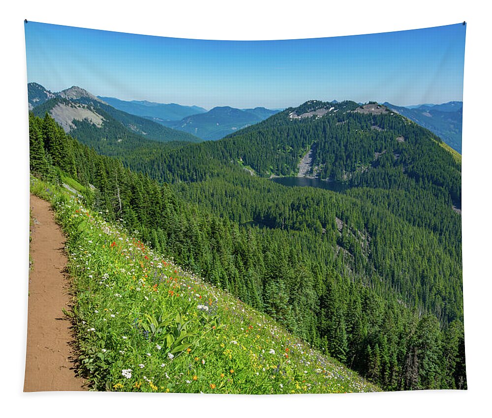 Flowers Tapestry featuring the photograph Mountain Trail 2 by Pelo Blanco Photo