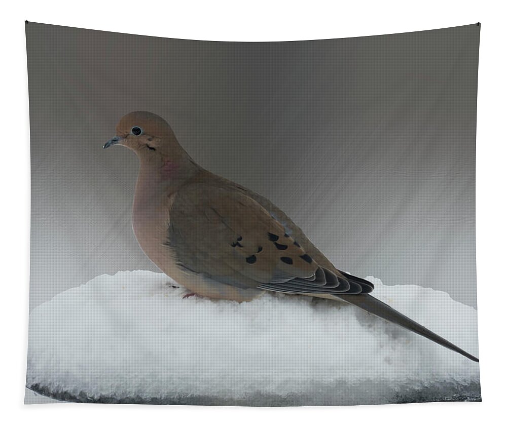 Bird Tapestry featuring the photograph Mourning Dove by Leslie Montgomery