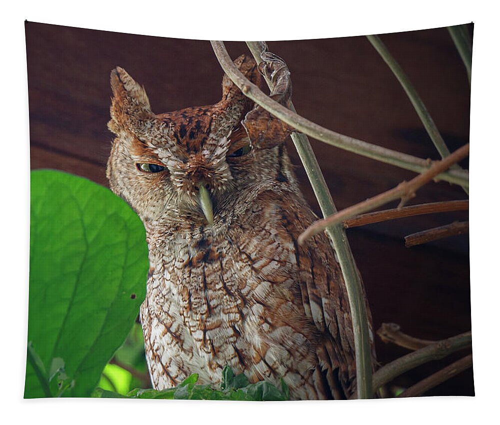 Owl Tapestry featuring the photograph Move on by Les Greenwood