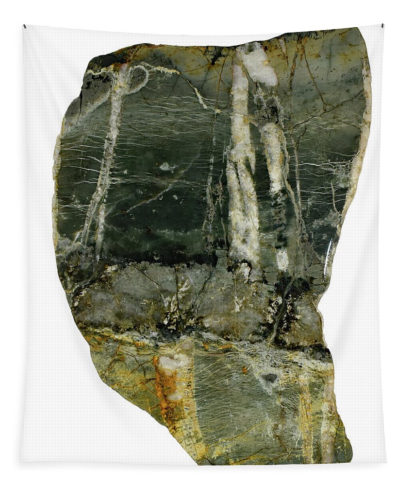Art In A Rock Tapestry featuring the photograph Mr1001 by Art in a Rock