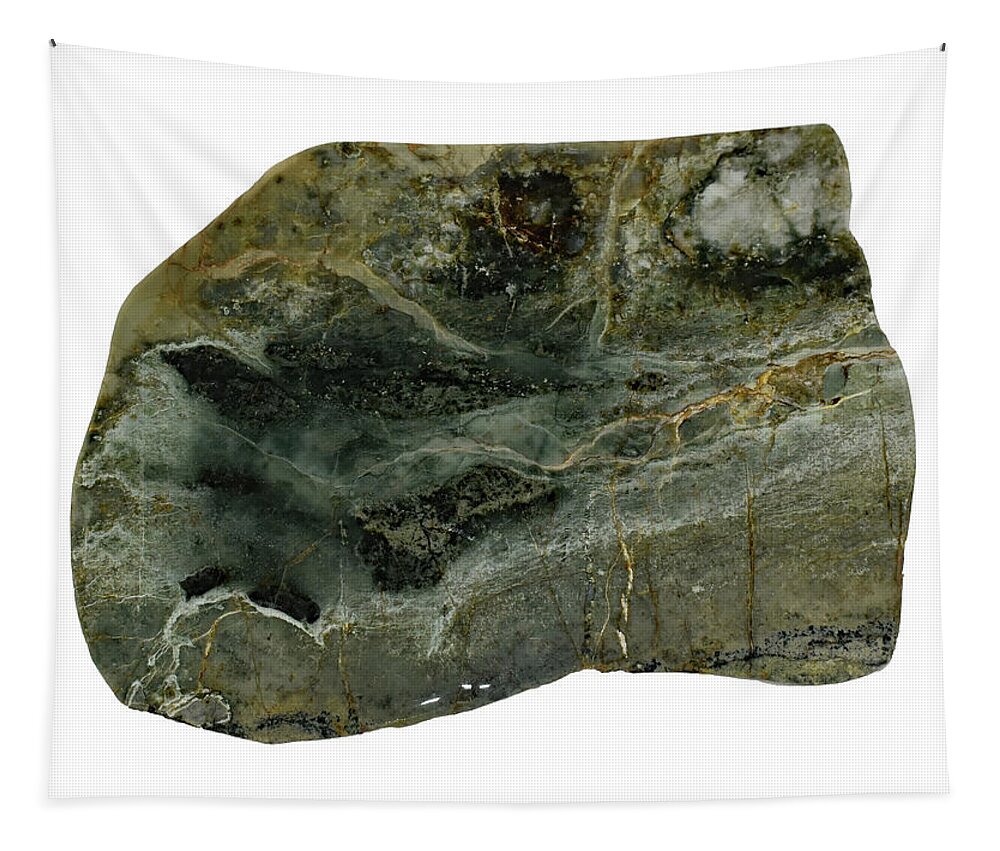 Art In A Rock Tapestry featuring the photograph Mr1011 by Art in a Rock