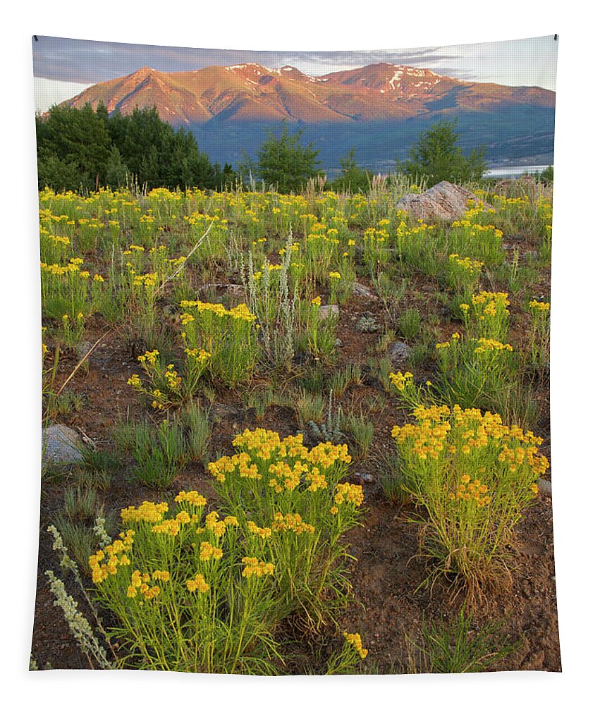 Mount Elbert Tapestry featuring the photograph Mt. Elbert Wildflowers by Aaron Spong
