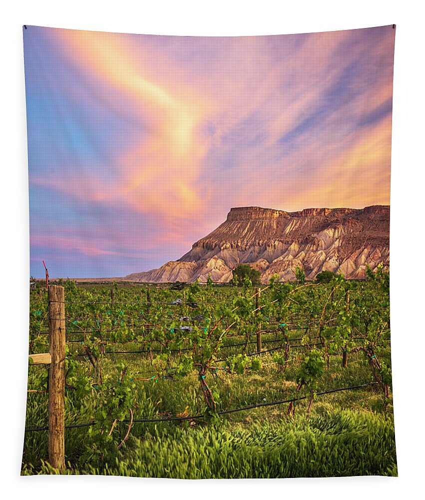 Mt Garfield Tapestry featuring the photograph Mt Garfield and the Palisade Vineyards by Ronda Kimbrow