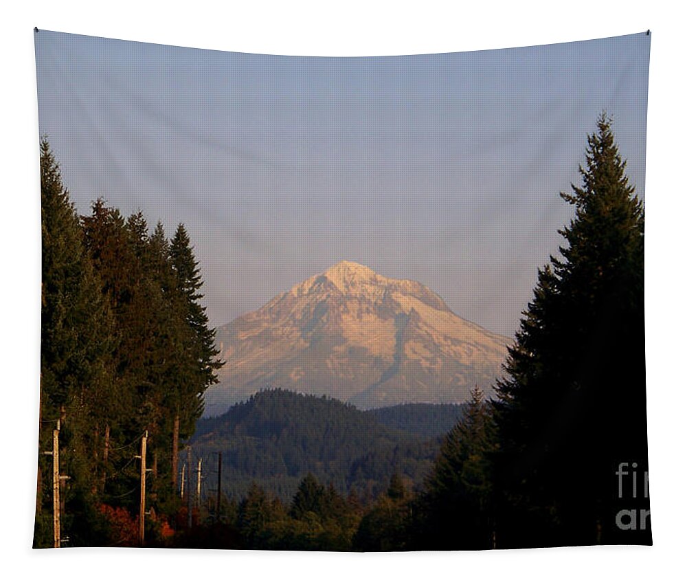 Mt Hood Tapestry featuring the photograph Mt Hood Sunset Glow by Charles Robinson