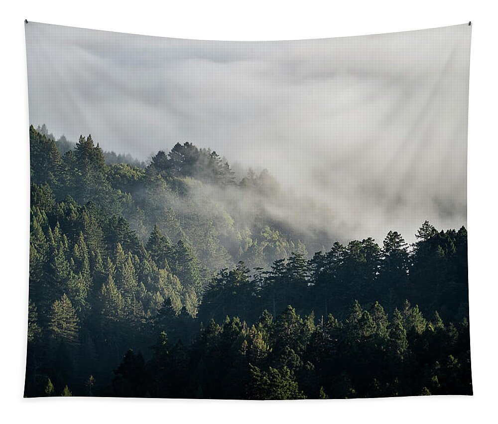 California Tapestry featuring the photograph Mt. Tamalpais Fog and Trees by Gary Geddes