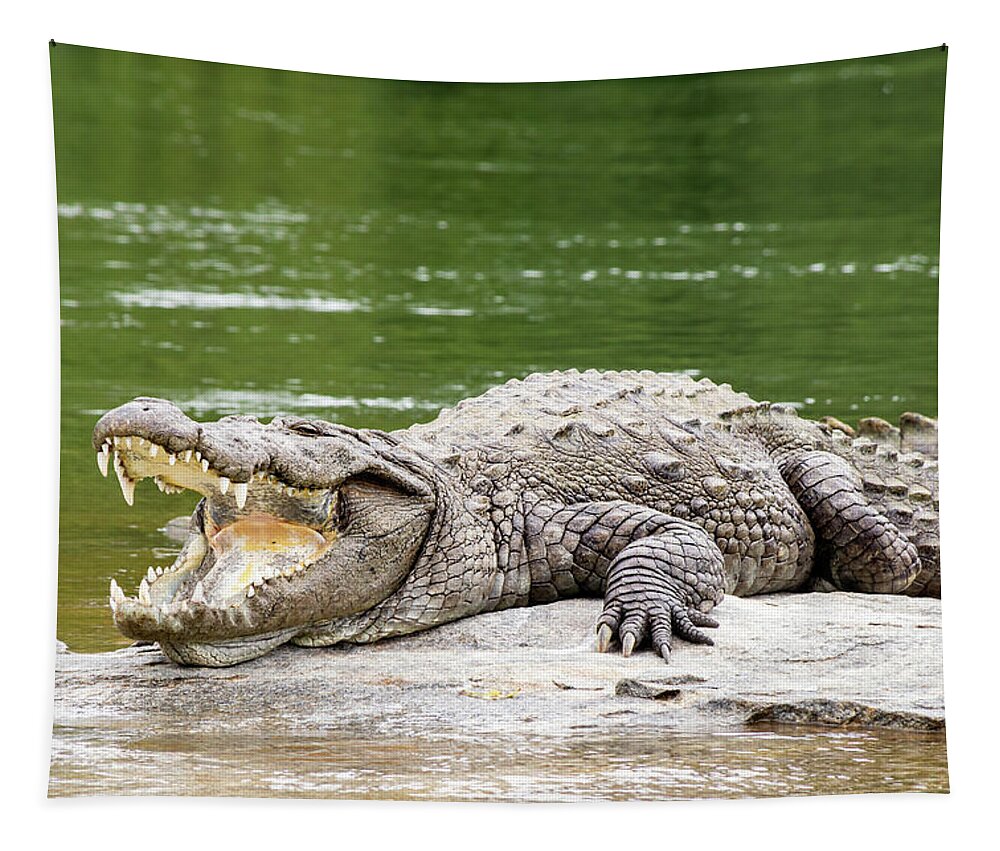 Animal Tapestry featuring the photograph Mugger crocodile by SAURAVphoto Online Store
