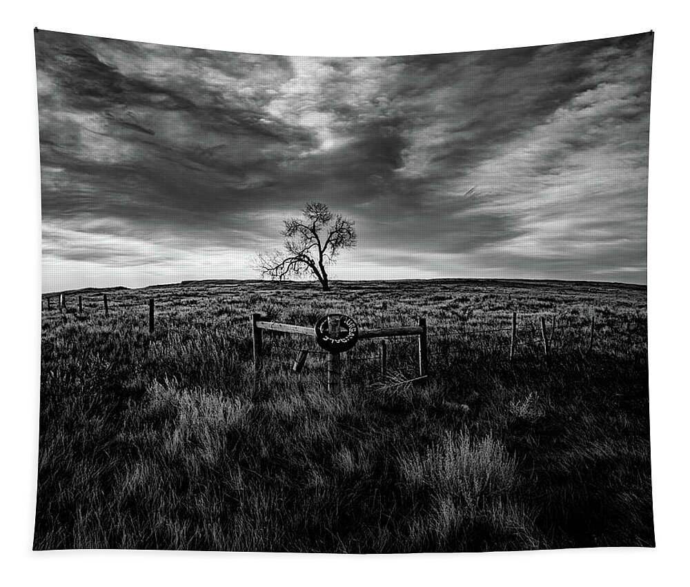  Tapestry featuring the photograph Murray Tree Monochrome by Darcy Dietrich