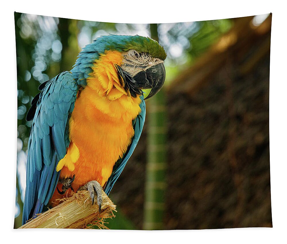 Parrot Tapestry featuring the photograph My Perch by Les Greenwood