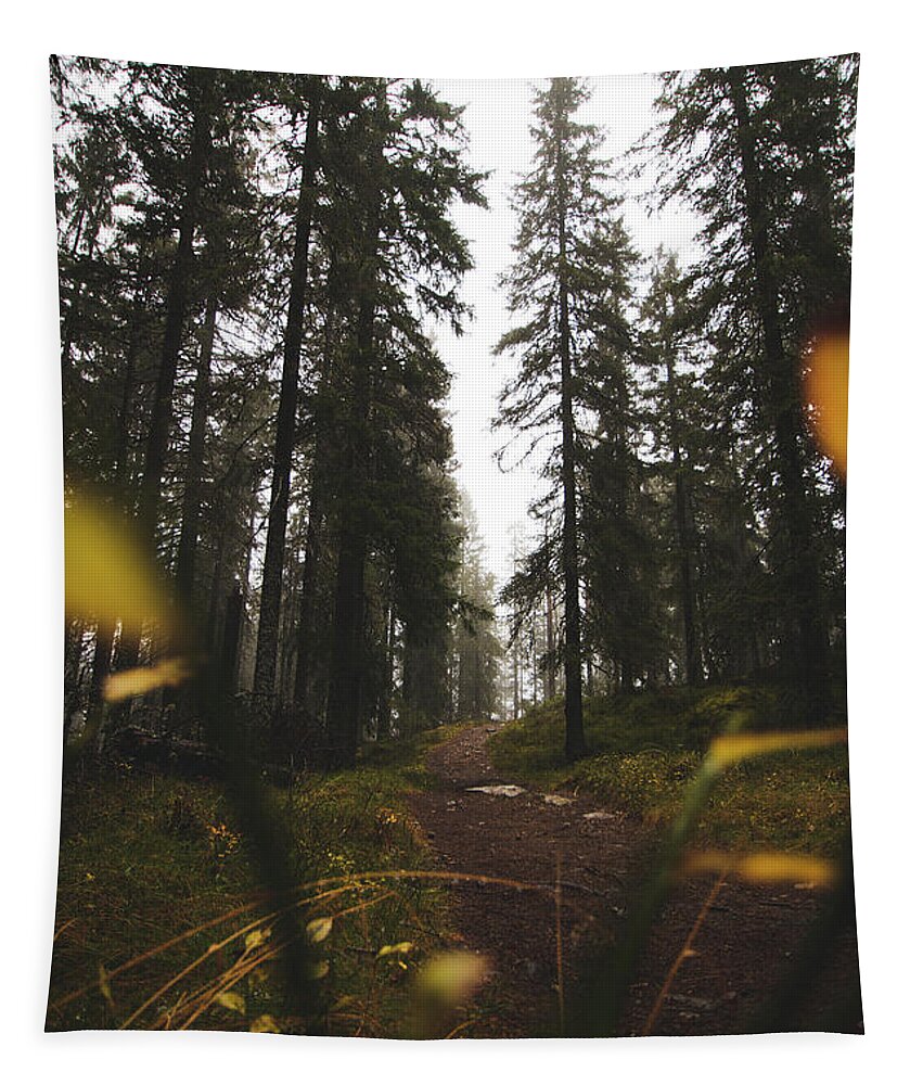 Outdoor Tapestry featuring the photograph Mysterious misty forest in the rain by Vaclav Sonnek