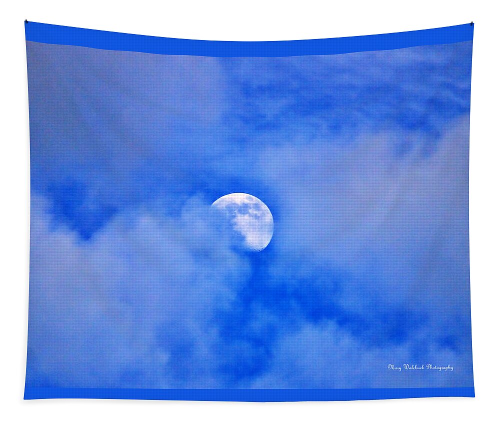 Moon Tapestry featuring the photograph Mysterious Moon by Mary Walchuck